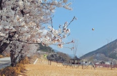 영천 임고면에 영천댐공원 준공