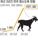 염소도 전용 도축장 시대
