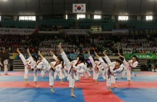 대구시교육청 꿈나무 태권도 시범단 11일 출범