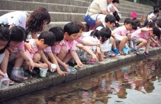 상주 상락유치원 치어 2천 마리 방생