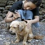 이효리 블로그, ‘파워블로거’ 등극!… 한 달 만에 370만, 소길댁 매력에 푹~