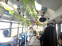 타봤나요? 이색버스…달리는 식물원 420번 버스
