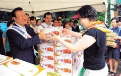 김천 포도·자두·복숭아 서울시민 입맛 사로잡다