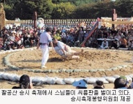 [가을 축제의 계절] 대구 가볼 만한 축제