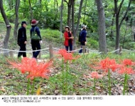 [이 가을, 걷고 싶은 길] 앞산