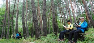 [체험·치유 休] 테마가 있는 국립자연휴양림(하)