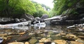 맑은 계곡 그늘 짙던 여름 숲, 단풍 들면 색색 가을 별천지…양산 배내골 주암계곡