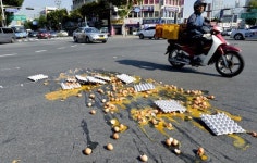 뒤집힌 계란판, 조심조심 운전