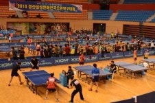 전국 탁구동호인 700여 명 경산서 스매싱