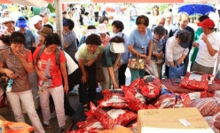 고추 명성에 버금갈 신선엽채류 생산…영양군