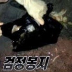 동물농장 시월이 음식물 쓰레기통서 발견 ‘충격’…“그냥 죽이려고 한 것!”