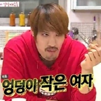 '룸메이트' 최홍만 이상형 