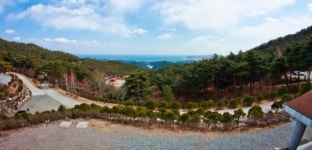 [바라보던 산에서 먹고사는 보물 산으로] 경북도 자연휴양림 천국
