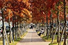 [바라보던 산에서 먹고사는 보물 산으로] 경북도민의 휴식공간 도시숲