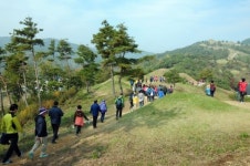 [바라보던 산에서 먹고사는 보물 산으로] 곳곳에 명품 숲길 만드는 경북