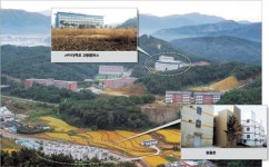 10년 방치한 캠퍼스 잡초만 무성…원룸촌은 유령촌