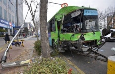 졸음운전 시내버스, 달구벌대로서 가로수 들이받아