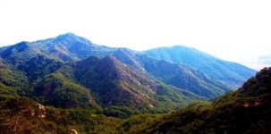 경주 남산, 봄 길과 만나는 유적