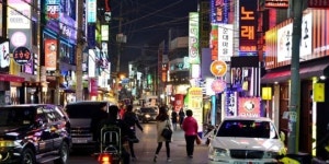 술집·카페·노래방 등 200여 곳…광코 밤마다 不夜城