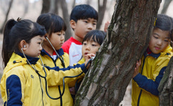 나무가 노래 불러요