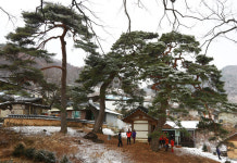 영주 힐링마을을 찾아서