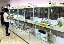 반려동물 위한 대형마트·힐링파크까지 있네…초고속 성장 펫 시장