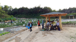 도시텃밭 열매 주렁주렁…영주 도시농업활성화 공모사업