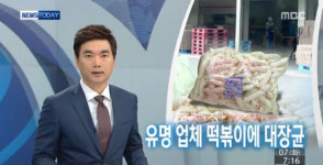송학식품 대장균 떡볶이, 포장지만 바꾼채 그대로 유통…식약처 인증 절차 허술