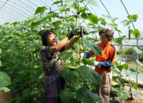 안동자활센터 성과평가 우수센터
