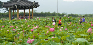 은은한 연꽃 향기, 천년고도 물들이고∼
