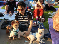 청도 화양읍 야외음악당 제7회 개나소나 콘서트