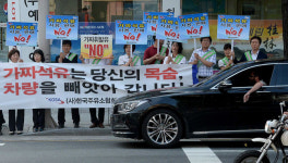 가짜 휘발유 단속 최대 주 4회