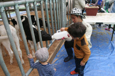 생산자와 소비자의 만남, 국제축산박람회