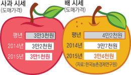사과·배 와∼싸다…추석 제수용 마련 부담 줄 듯