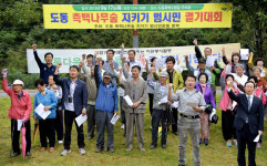 고가도로 건설 도동측백나무에 악영향
