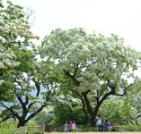 [100년 달성 스토리로드] ③옥포면