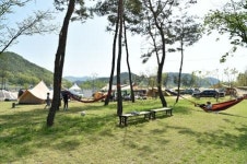 청송사과 테마공원 힐링 입소문…농촌산업화 평가 우수사례 10선 선정