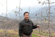 “영천 보현산 인근에 전국 최대 친환경 사과 과수원 조성”