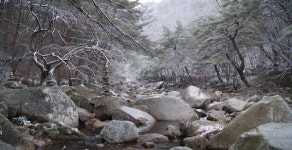 [팔만대장경 이운 순례길] 마지막 코스 합천군 야로면∼해인사 소리길