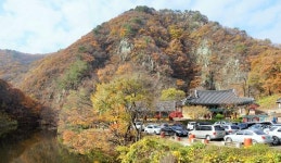 [우리 땅 구석구석 힐링 트레킹] 포항 오어사·운제산