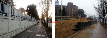 담장 허문 경북대 북문∼복현오거리…거리 숲 400m 명물
