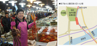 [달구벌 줌-인! 대구의 숨은 명소를 찾아] 농수산물도매시장 ‘수산동’