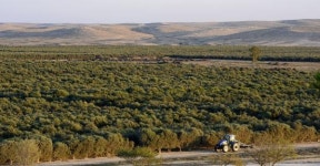 [이스라엘에서 배운다] 연 강수량 700mm 한국의 절반, 팔레스타인에 물 수출 반전