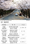 [즐겨봐요, 봄 꽃길] 도심 벚꽃길에서 봄 만끽