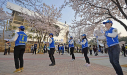 대구삼성라이온즈파크 앞 표몰이