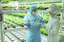 이동필 농식품부 장관 안동 방문 식물공장은 신성장 동력