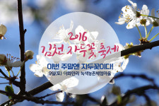 이화만리 녹색농촌체험마을 9일 김천자두꽃축제