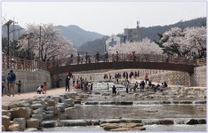 메말랐던 구미 금오천, 맑은 물 졸졸