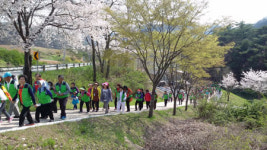 영양군, 보건의날 맞아 건강걷기 행사