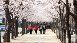 4계절 4색 뽐내는 수성못, 매년 1천만 명 다녀가